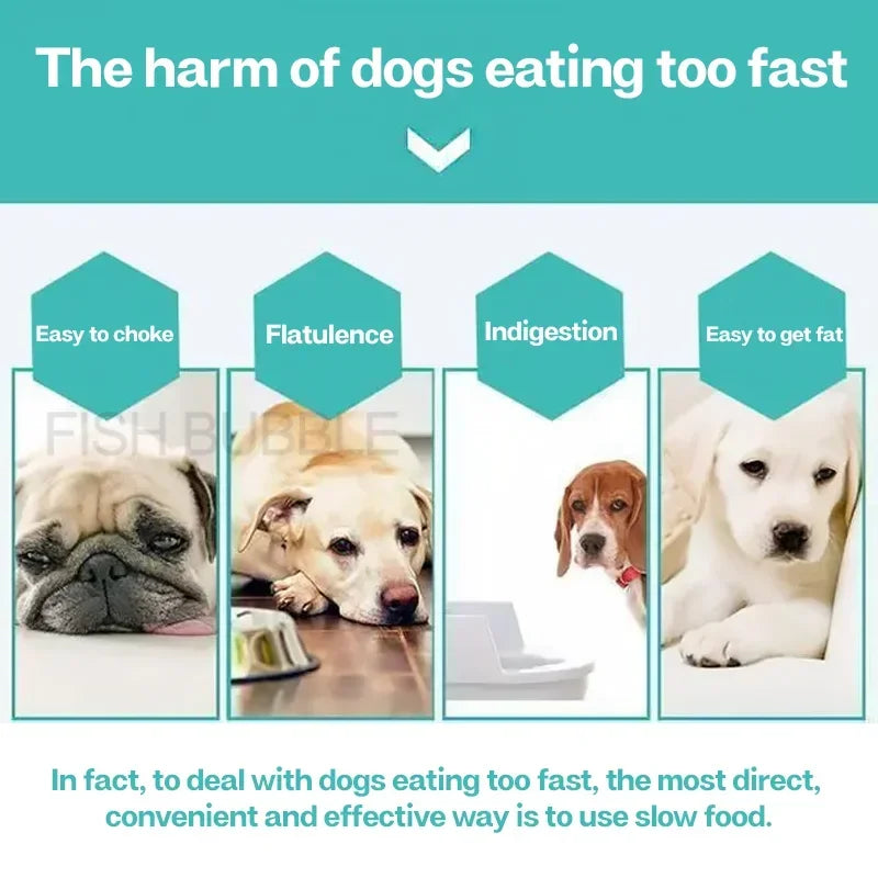 Calm, Soothe & Entertain Your Pet!